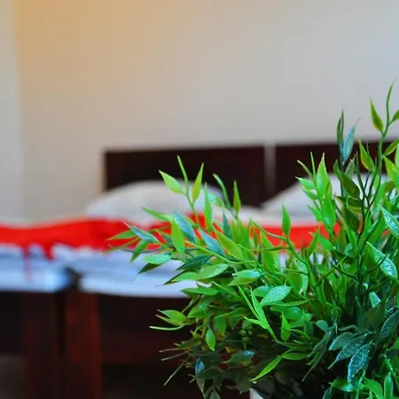 Willa Kalinowa Sopot Room photo